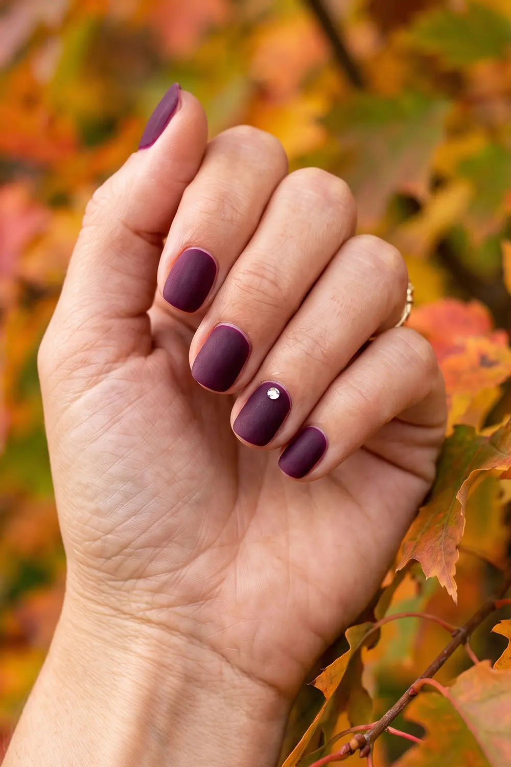 Short plum fall nails with a tiny gold dot accent Short plum fall nails with a tiny gold dot accent